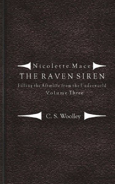 Cover for C S Woolley · Filling the Afterlife from the Underworld: Volume 3: Notes from the Case Files of the Raven Siren (Paperback Book) (2015)