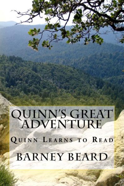 Cover for Barney Beard · Quinn's Great Adventure (Paperback Book) (2017)