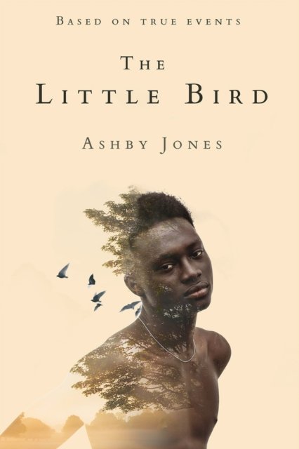 Cover for Ashby Jones · The Little Bird: A Novel (Paperback Book) (2024)