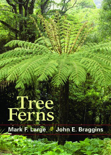 Tree Ferns - John E. Braggins - Books - Workman Publishing - 9781604691764 - November 27, 2009