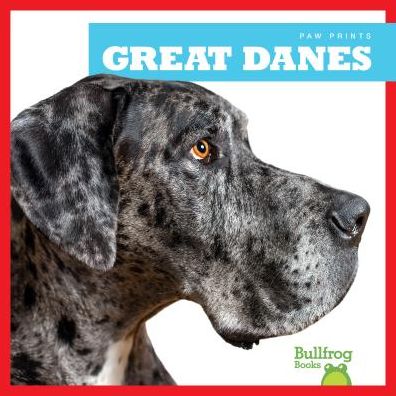 Cover for Nadia Higgins · Great Danes - Paw Prints (Hardcover Book) (2019)