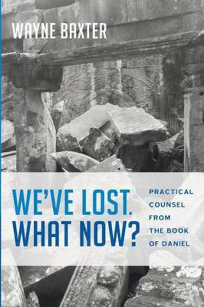 Cover for Wayne Baxter · We've Lost. What Now? (Paperback Book) (2015)
