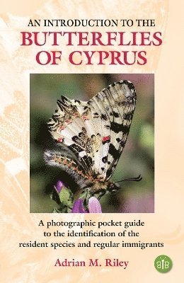 Cover for Adrian M. Riley · An Introduction to the Butterflies of Cyprus: A photographic pocket guide to the identification of the resident species and regular immigrants (Taschenbuch) (2024)