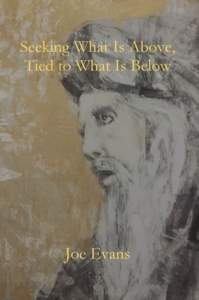 Seeking What is Above - Joe Evans Evans - Books - Parson's Porch - 9781951472764 - December 1, 2020