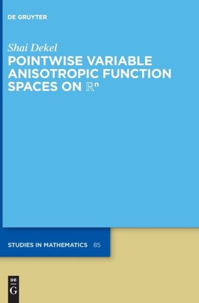 Cover for Shai Dekel · Pointwise Variable Anisotropic Function Spaces on n (Hardcover bog) (2022)