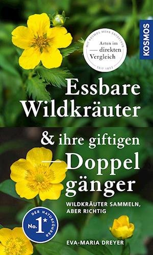 Cover for Eva-Maria Dreyer · Essbare Wildkräuter und ihre giftigen Doppelgänger (Book) (2024)