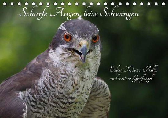 Cover for Sperling · Scharfe Augen, leise Schwingen (Book)