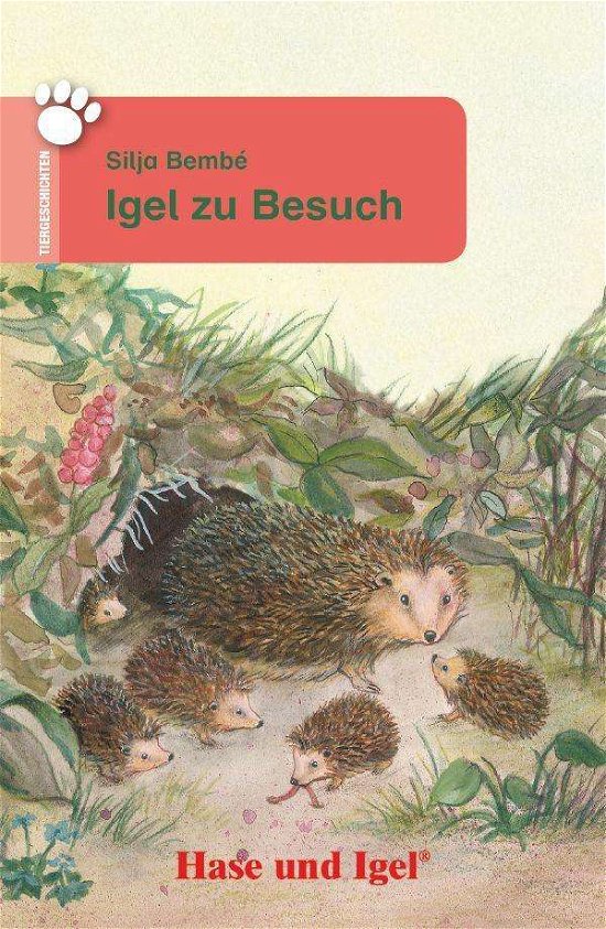 Cover for Bembé · Igel zu Besuch (Book)