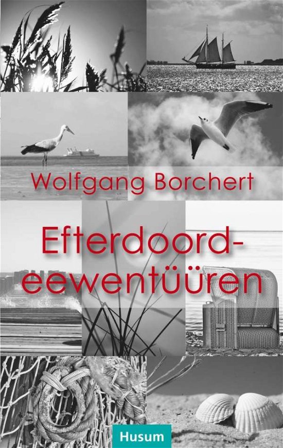 Cover for Borchert · Efterdoordeewentüüren (Book)