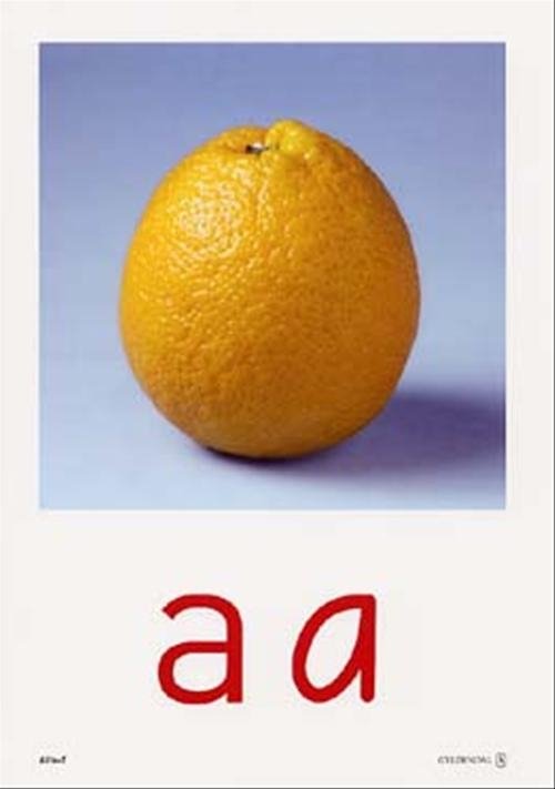 Cover for Zdenka Valenta; Susanne Adelhardt · Alfa-Z - Ny: Alfa-Z, nye bogstavplancher (Buch) [2. Ausgabe] (2004)
