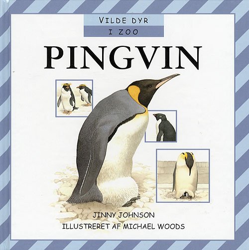 Cover for Jinny Johnson · Pingviner (Indbundet Bog) [1. udgave] (2006)