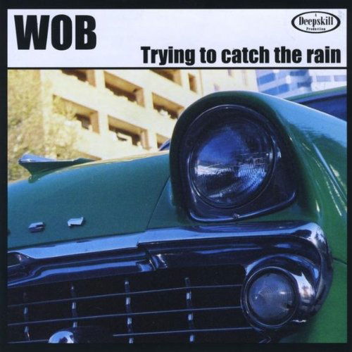 Cover for Wob · Trying to Catch the Rain (CD) (2009)