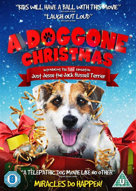 A Doggone Christmas - A Doggone Christmas - Film - High Fliers - 5022153105765 - 29. oktober 2018