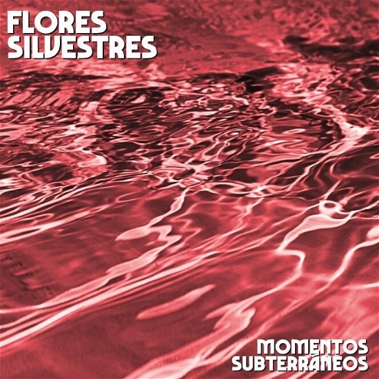 Cover for Flores Silvestres · Momentos Subterráneos (LP) (2024)