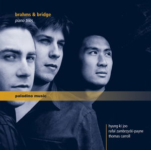 Brahms & Bridge: Piano Trios - Brahms / Carroll,thomas / Payne,rafal Zambrzycki - Música - PALADINO MUSIC - 9120040730765 - 8 de abril de 2016
