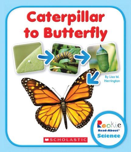 Cover for Lisa M. Herrington · Caterpillar to Butterfly (Rookie Read-About Science: Life Cycles) - Rookie Read-About Science: Life Cycles (Paperback Book) (2014)