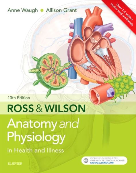 Cover for Waugh, Anne (School of Acute and Continuing care Nursing, Napier University, Edinburgh, UK) · Ross &amp; Wilson Anatomy and Physiology in Health and Illness (Paperback Book) (2018)