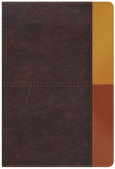 Cover for B&amp;h Español Editorial · RVR 1960 Biblia de Estudio Arcoiris, gris pizarra / oliva simi (Leather Book) (2021)