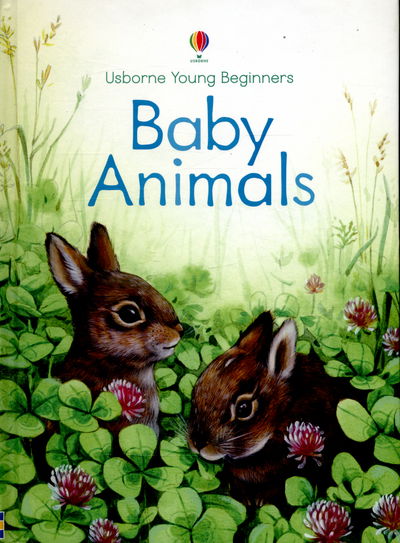 Cover for Emily Bone · Baby Animals - Young Beginners (Hardcover bog) (2016)