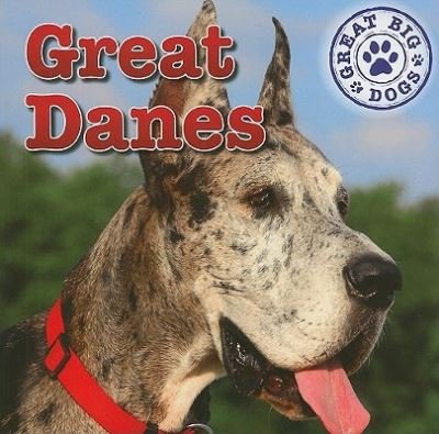 Cover for Kristen Rajczak · Great danes (Book) [1st edition] (2011)