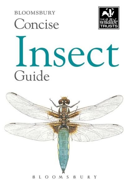 Cover for Bloomsbury · Concise Insect Guide - Concise Guides (Paperback Book) (2018)
