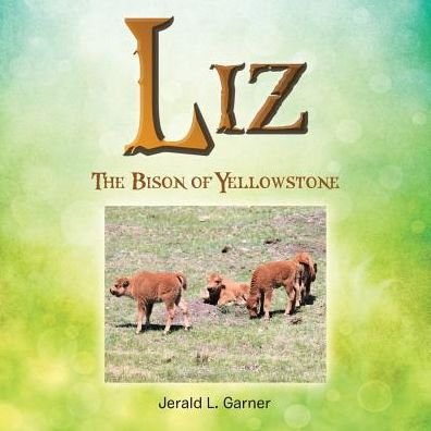 Cover for Jerald L Garner · Liz (Paperback Bog) (2017)
