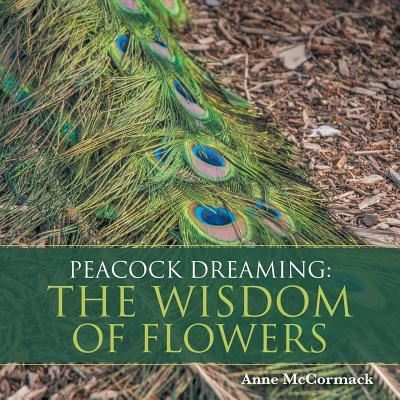 Cover for Anne McCormack · Peacock Dreaming (Paperback Book) (2017)