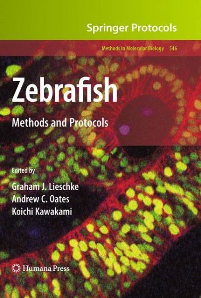 Cover for Zebrafish: Methods and Protocols - Methods in Molecular Biology (Hardcover Book) [2009 edition] (2009)