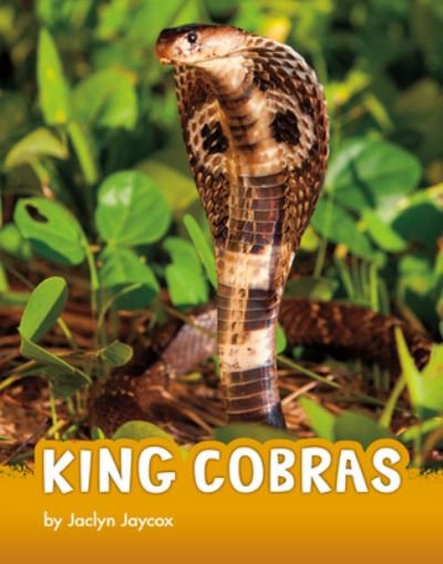 Cover for Jaclyn Jaycox · King Cobras (Hardcover Book) (2022)