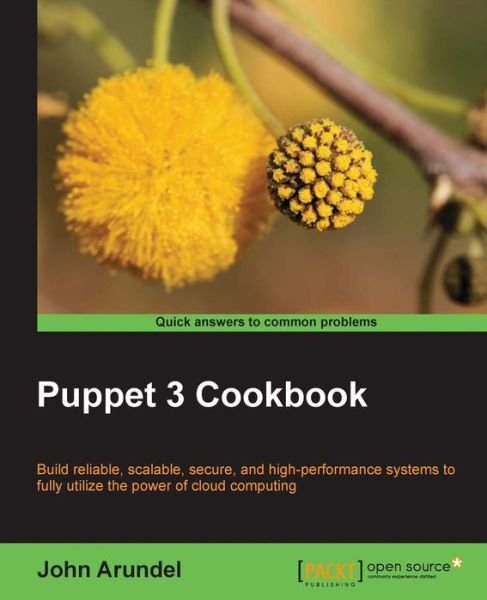 Cover for John Arundel · Puppet 3 Cookbook (Paperback Book) (2013)