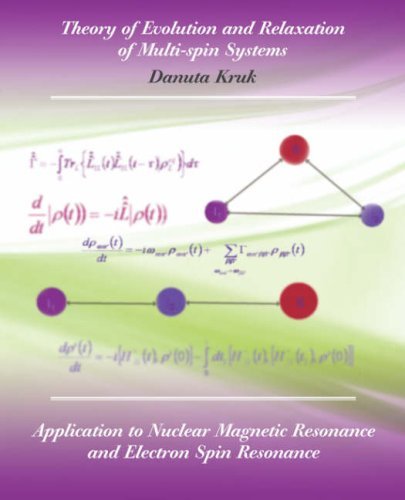 Cover for Danuta Kruk · Theory of Evolution and Relaxation in Multi-spin Systems (Pocketbok) (2007)