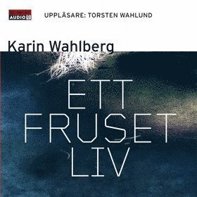 Claes Claesson: Ett fruset liv - Karin Wahlberg - Audio Book - Bonnier Audio - 9789173480765 - 5. november 2007