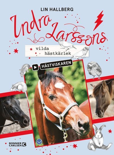 Cover for Lin Hallberg · Hästviskaren: Indra Larssons vilda hästkärlek (Kort) (2021)