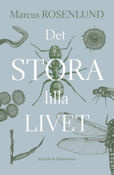 Cover for Marcus Rosenlund · Det stora lilla livet (Gebundesens Buch) (2022)