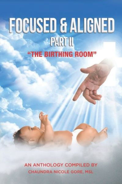 Cover for Keywana Wright-Jones · Focused &amp; Aligned Part II: The Birthing Room - Focused &amp; Aligned (Paperback Book) (2021)