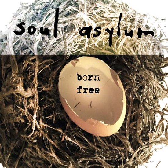 Cover for Soul Asylum · Born Free (LP) (2021)