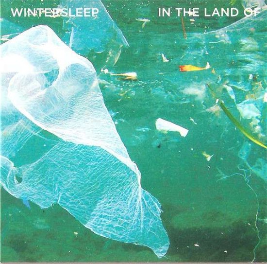 Cover for Wintersleep · In the Land of (LP) (2020)