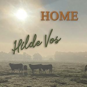 Cover for Hilde Vos · Hilde Vos - Home (CD)