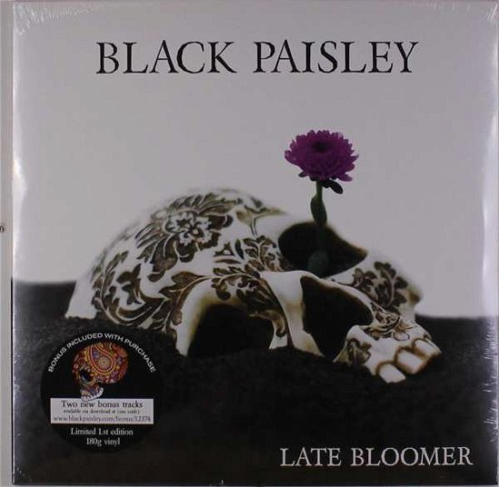 Cover for Black Paisley · Late Bloomer (LP) (2017)