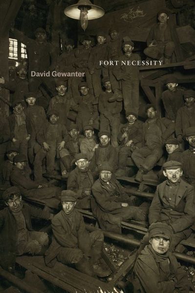 Cover for David Gewanter · Fort Necessity - Phoenix Poets (Taschenbuch) (2018)