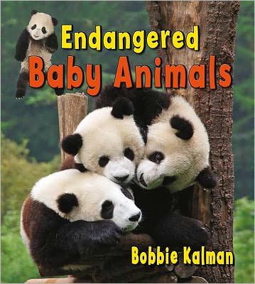 Cover for Bobbie Kalman · Endangered Baby Animals (It's Fun to Learn About Baby Animals) (Hardcover Book) (2012)