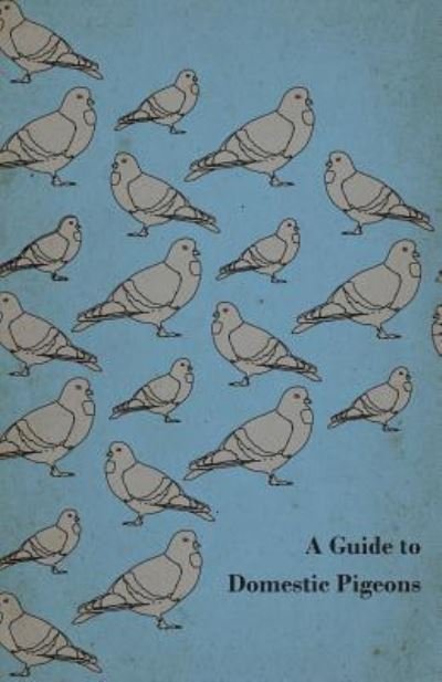 Cover for Anon. · A Guide to Domestic Pigeons - With Chapters on Doves, Training and Their Habits (Taschenbuch) (2011)