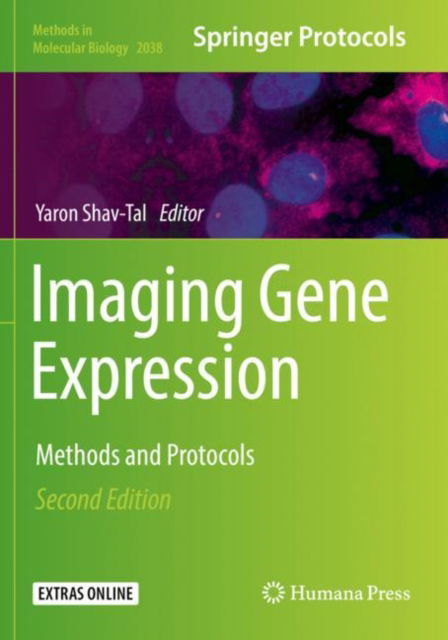 Cover for Imaging Gene Expression: Methods and Protocols - Methods in Molecular Biology (Paperback Book) [Second Edition 2019 edition] (2020)