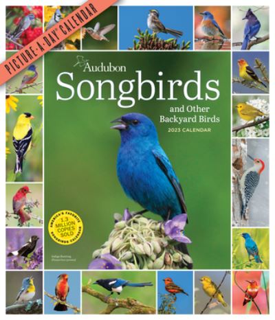 Cover for Workman Calendars · Audubon Songbirds and Other Backyard Birds Picture-A-Day Wall Calendar 2023 (Calendar) (2022)