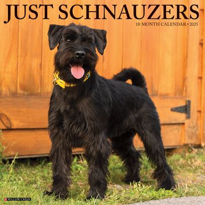 Willow Creek Press · Just Schnauzers 2025 12 X 12 Wall Calendar (Kalender) (2024)