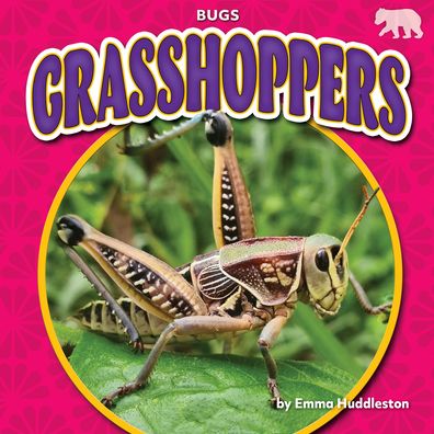 Cover for Emma Huddleston · Grasshoppers (Hardcover Book) (2022)