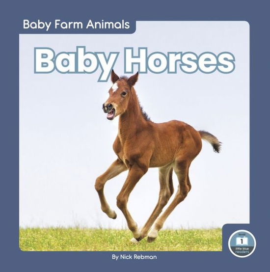 Cover for Nick Rebman · Baby Horses - Baby Farm Animals (Hardcover Book) (2022)