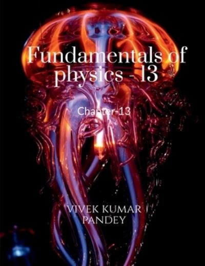 Fundamentals of Physics - 13 - Vivek Kumar - Livros - Notion Press - 9781648921766 - 13 de abril de 2020