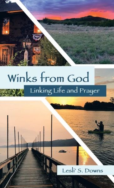 Cover for Lesli' S Downs · Winks from God (Hardcover Book) (2021)