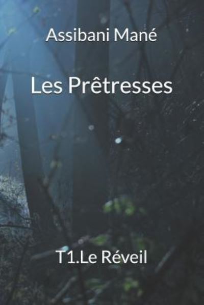 Cover for Assibani ManÃ© · Les Pretresses (Paperback Book) (2017)